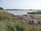 golfe-monsarac
